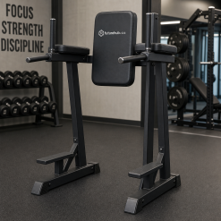 Captains Chair Leg Raise